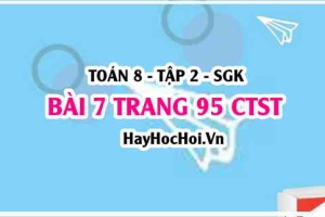 Bài 7 trang 95 Toán 8 Tập 2 Chân trời sáng tạo